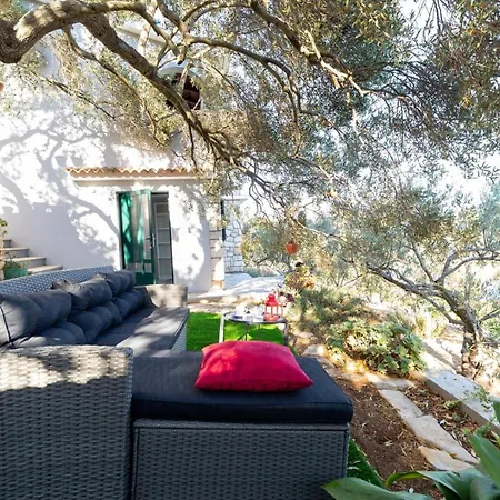 Erika Holiday home